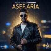asef aria khabeto didam live in concert 2026 06 12 21 18