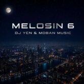 dj ycn melosin 06 remix 2026 07 13 00 14