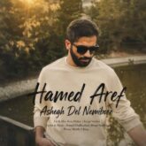 hamed aref ashegh del nemibore 2026 07 28 06 24