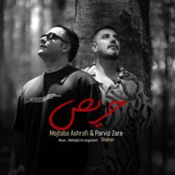 mojtaba ashrafi ft parviz zare haris 2026 07 12 07 49