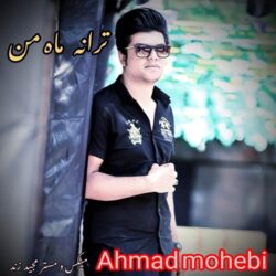 ahmad mohebi mahe man 2026 08 29 16 20