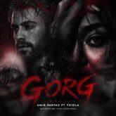 amir parvaz ft veiola gorg 2026 08 12 23 27