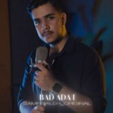 amir salah fallah bad adat 2026 08 29 08 30