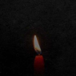 arman garshasbi koja gorizam 2026 08 02 08 55