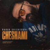 babak shishegari cheshami 2026 08 13 16 35