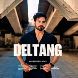 mohamadreza seyli deltang 2026 08 06 09 24