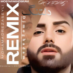 mohamadreza seyli deltang remix 2026 08 04 23 36