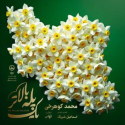mohammad koohrokhi yek pelle balatar 2026 08 30 20 40