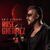 omid haghani rose ghermez 2026 08 24 00 26