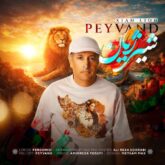 peyvand shire zhiyan 2026 08 30 10 00