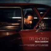 reza sadeghi delshore 2026 08 15 19 06