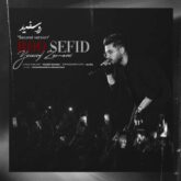 yousef zamani roo sefid second version 2026 08 24 01 11