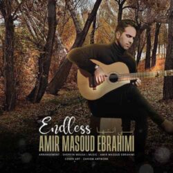 amirmasoud ebrahimi endless 2026 09 01 10 50
