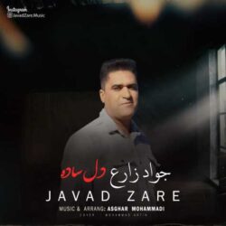 javad zare del sade 2026 09 04 13 01