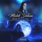 majid naderian maleke delam remix 2026 09 02 14 31
