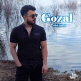 mehdi danesh gozel 2026 09 02 01 01