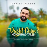 mohammadreza talebi vaghte chiye 2026 09 02 06 10